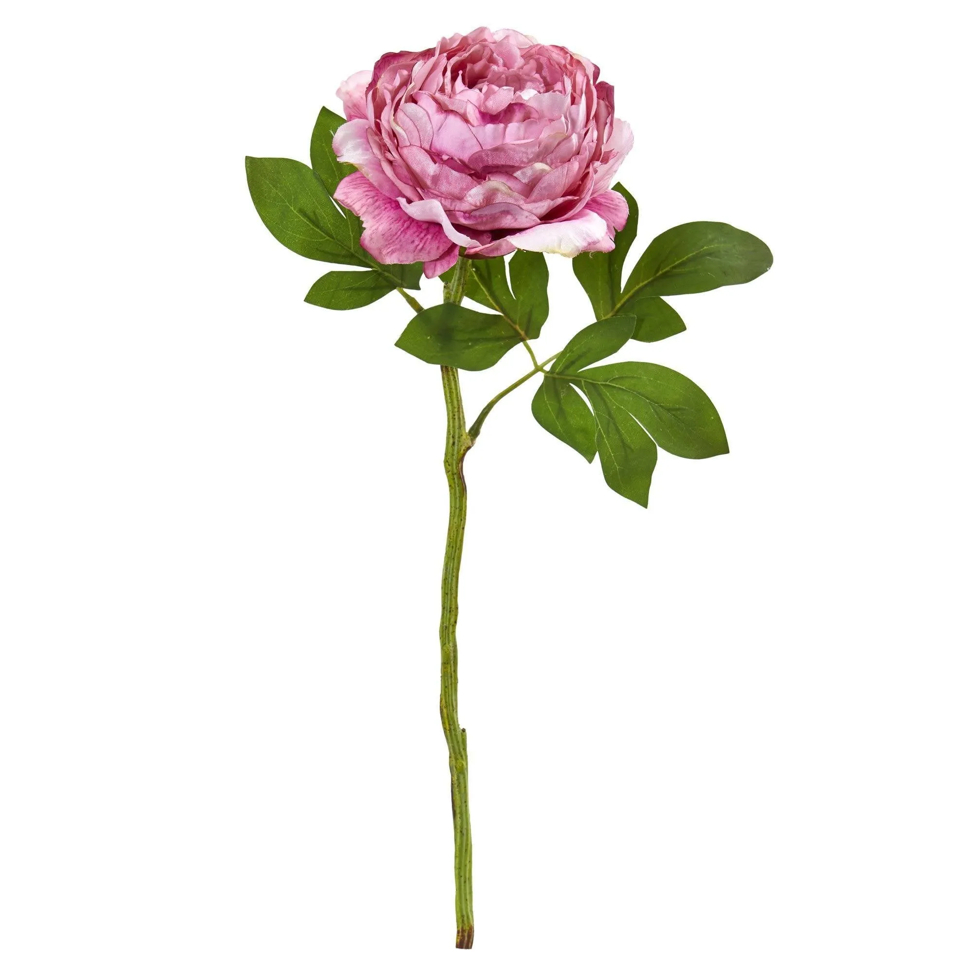 19” Peony Artificial Flower (Set of 6)