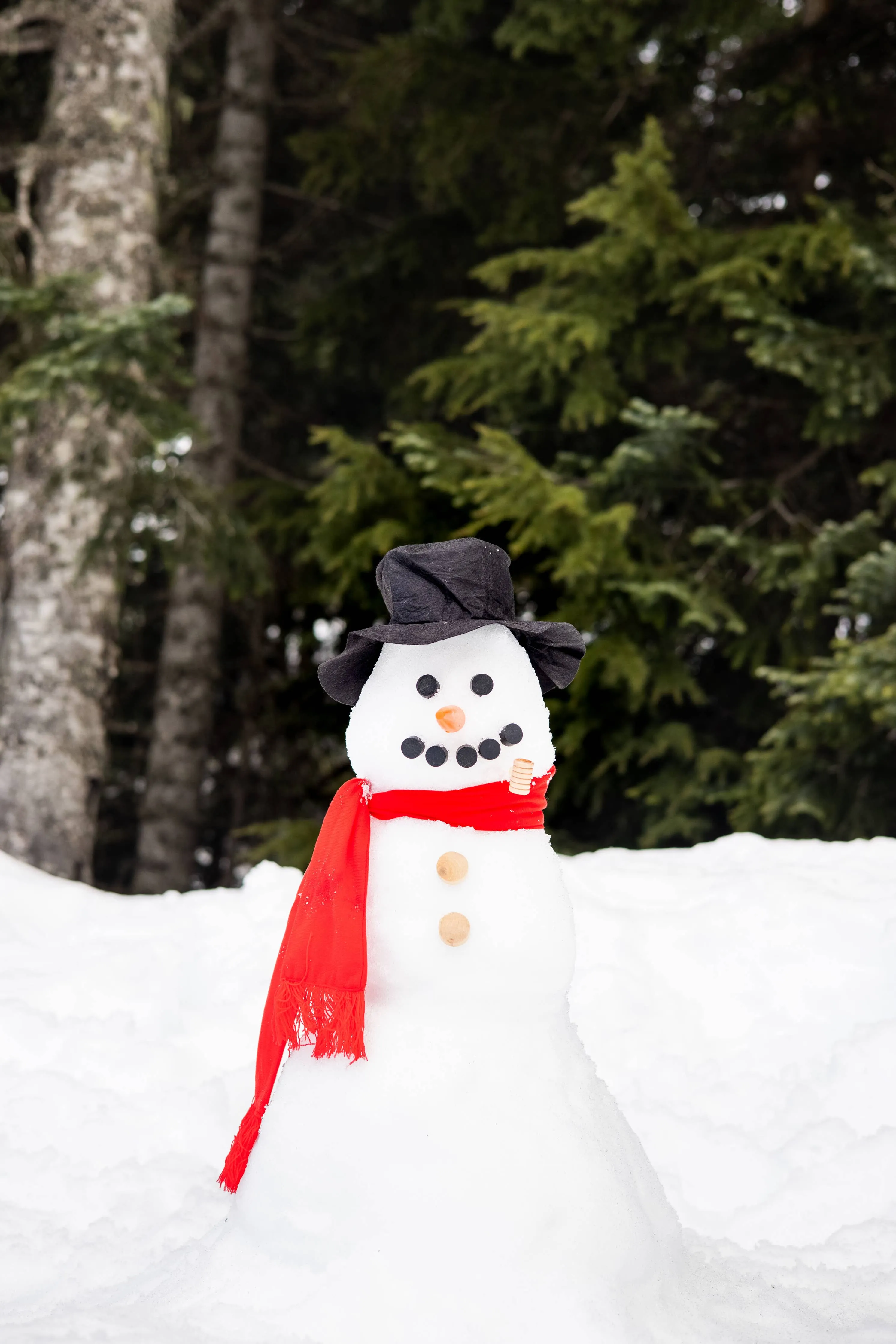 Build Your Own Snowman Christmas & Holiday Kit, DIY Kit