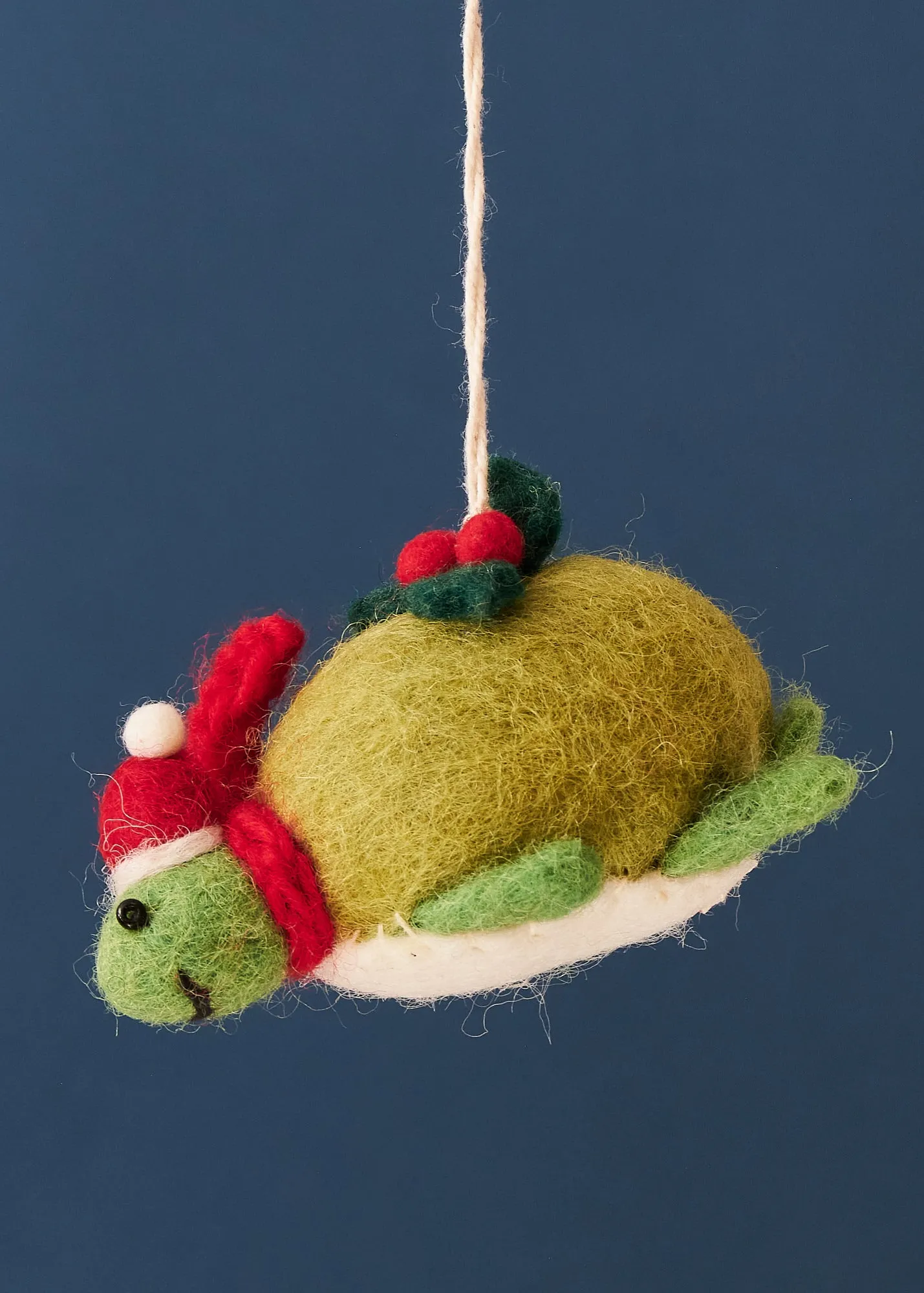 Felted Turtle with Holly