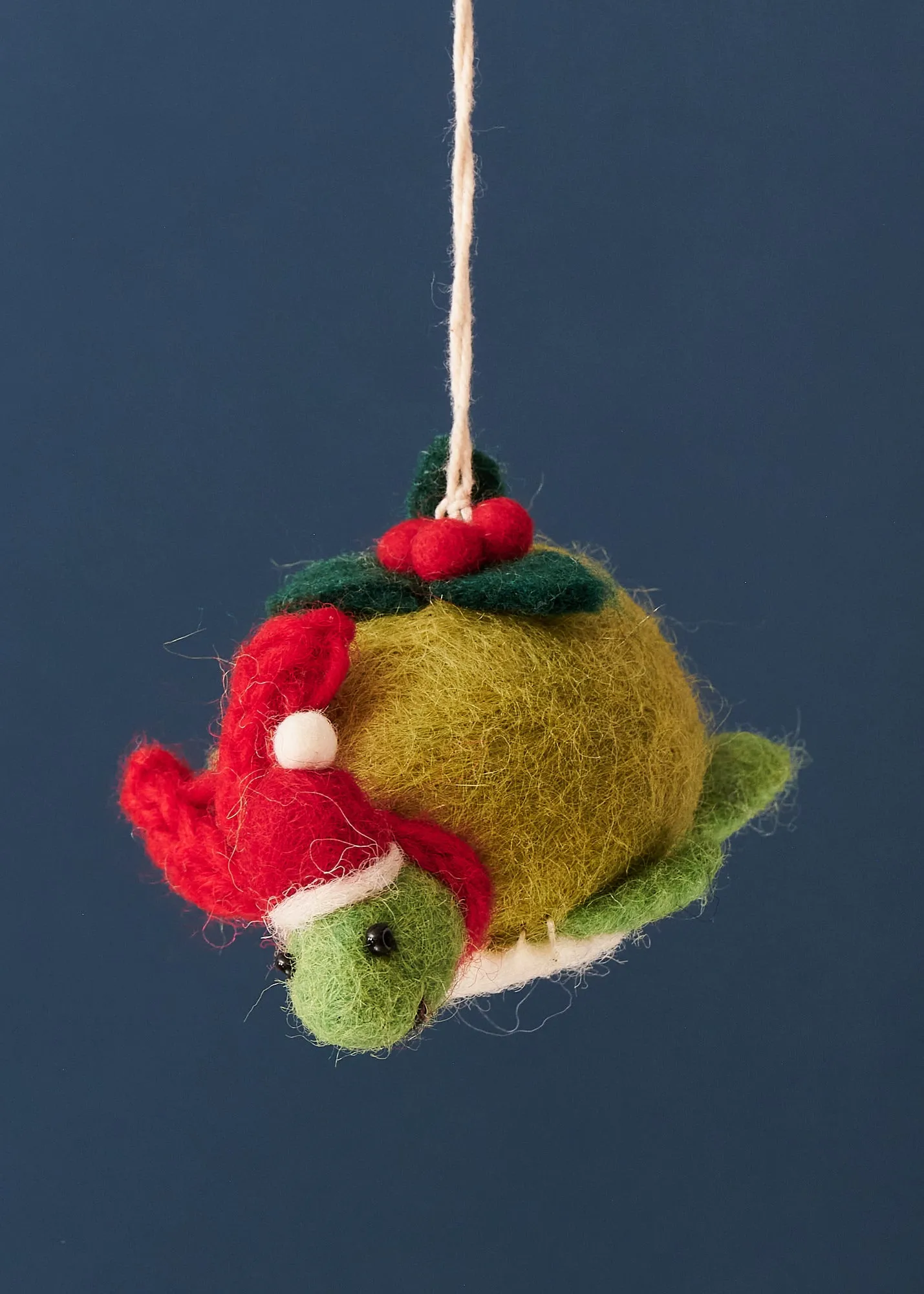 Felted Turtle with Holly