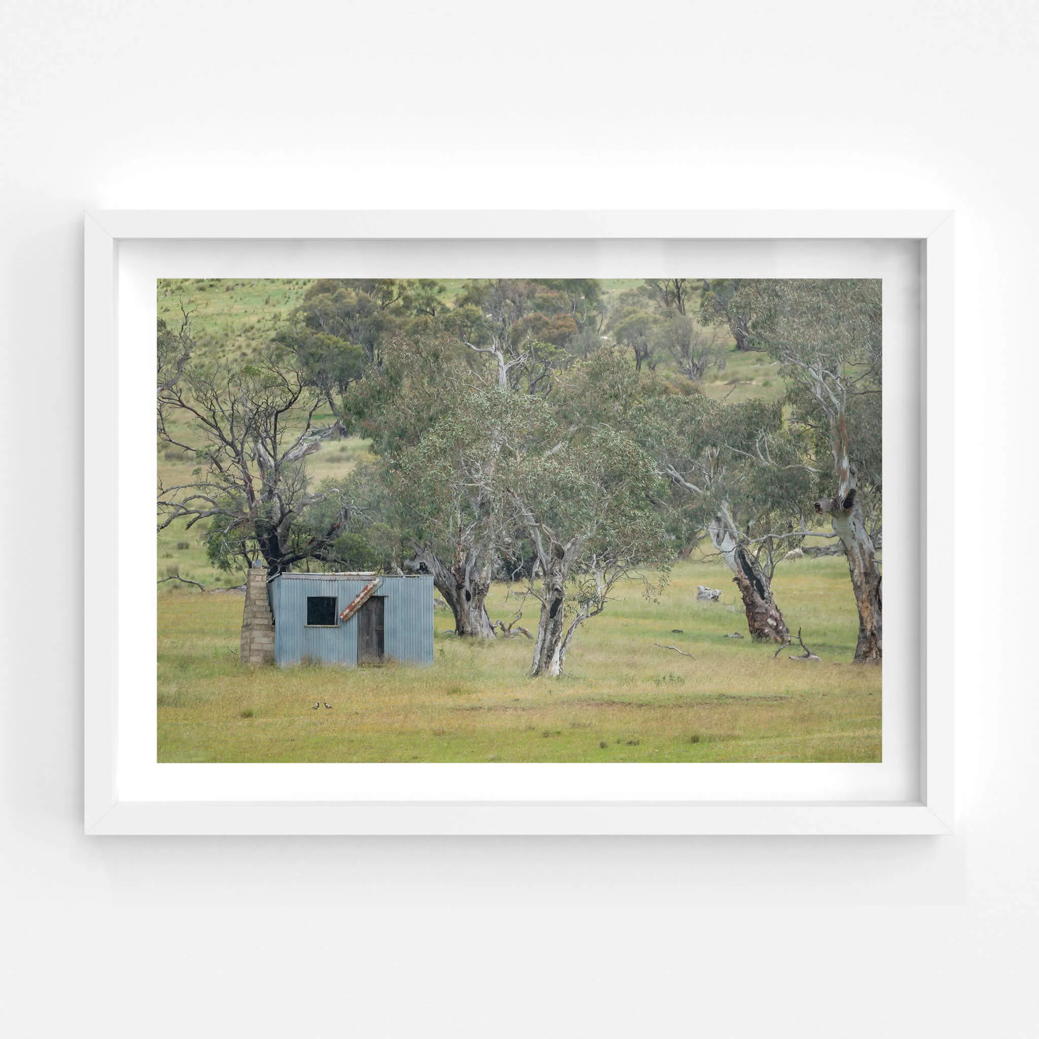 Home Amongst The Gums | A Place to Call Home