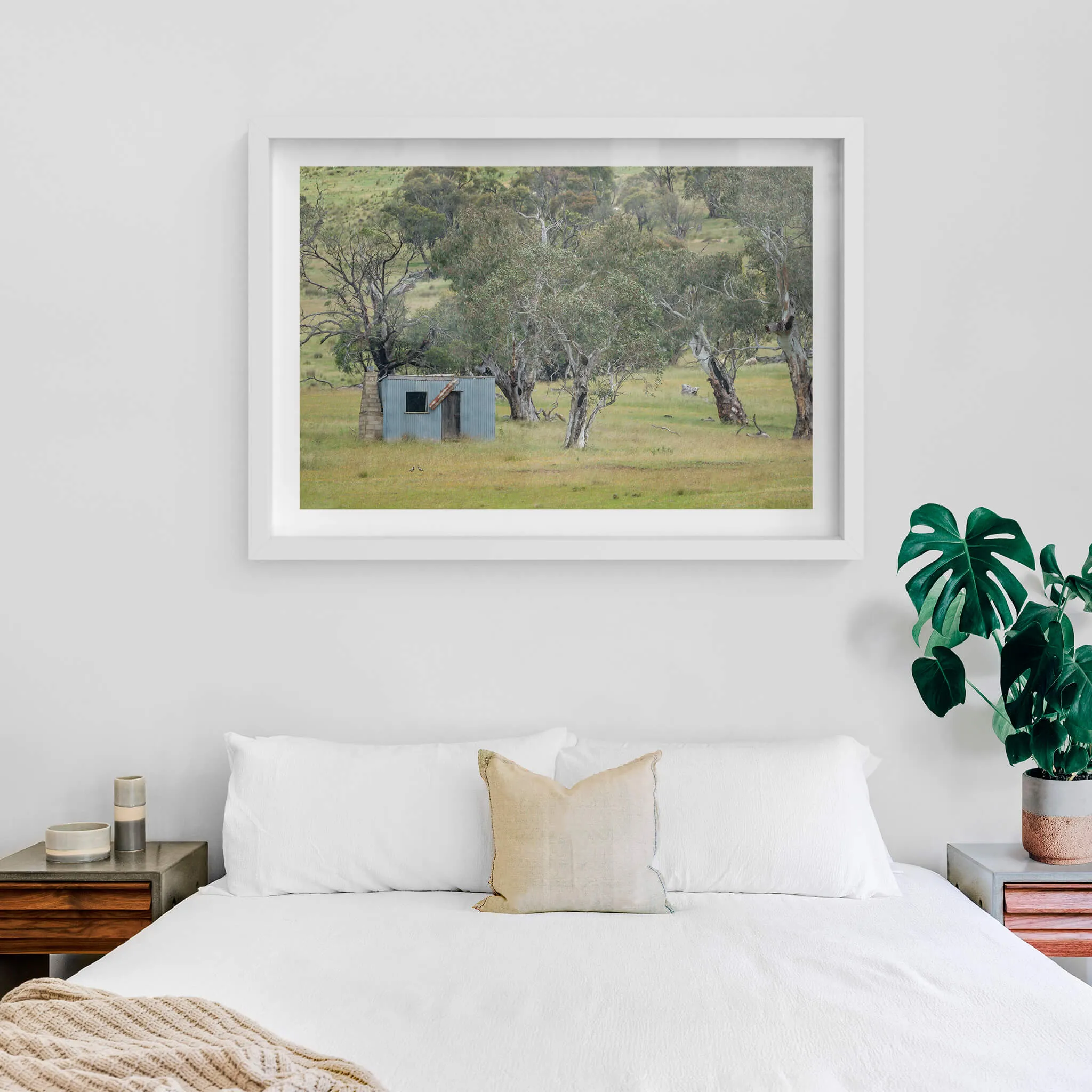 Home Amongst The Gums | A Place to Call Home