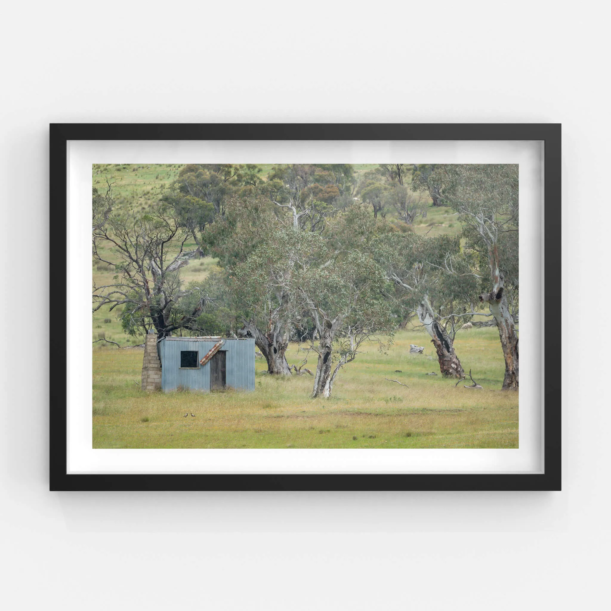 Home Amongst The Gums | A Place to Call Home