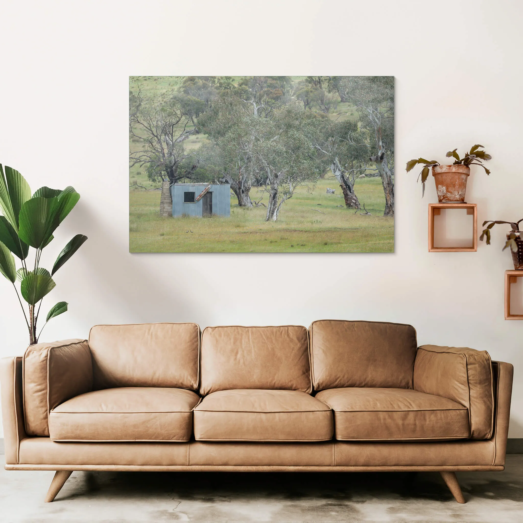 Home Amongst The Gums | A Place to Call Home