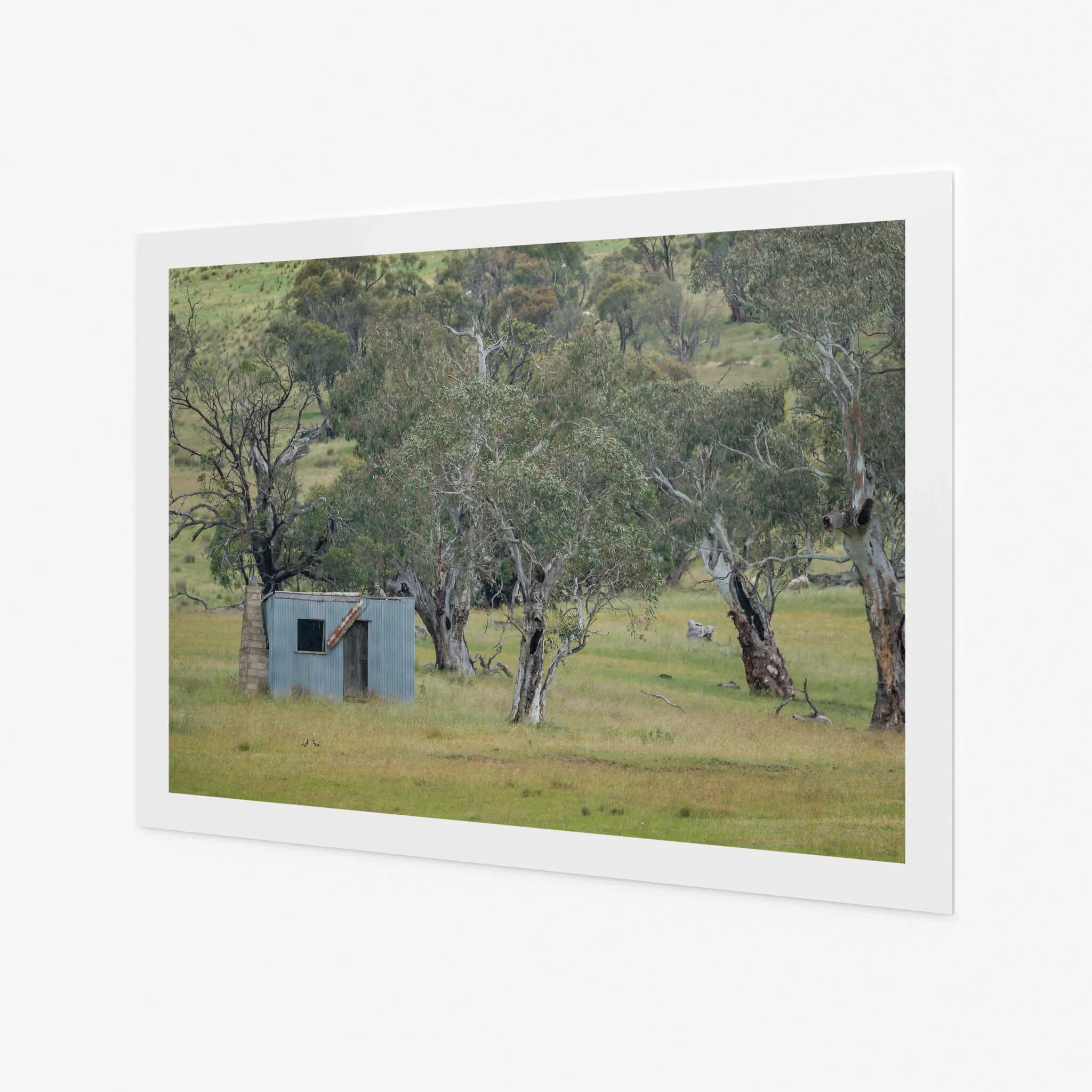 Home Amongst The Gums | A Place to Call Home