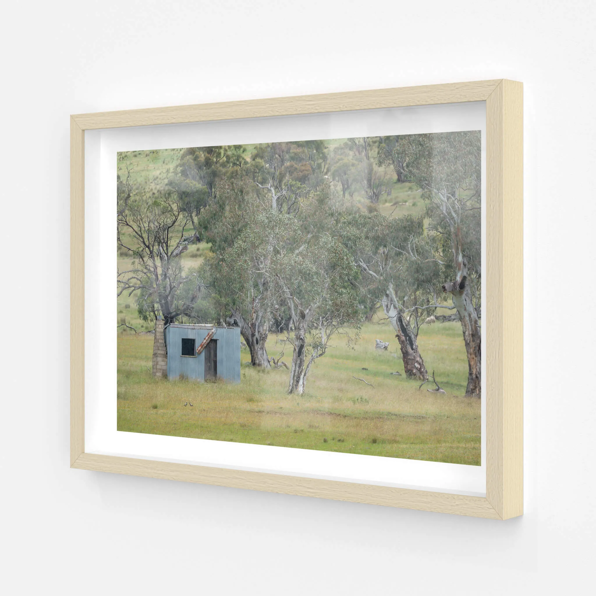 Home Amongst The Gums | A Place to Call Home