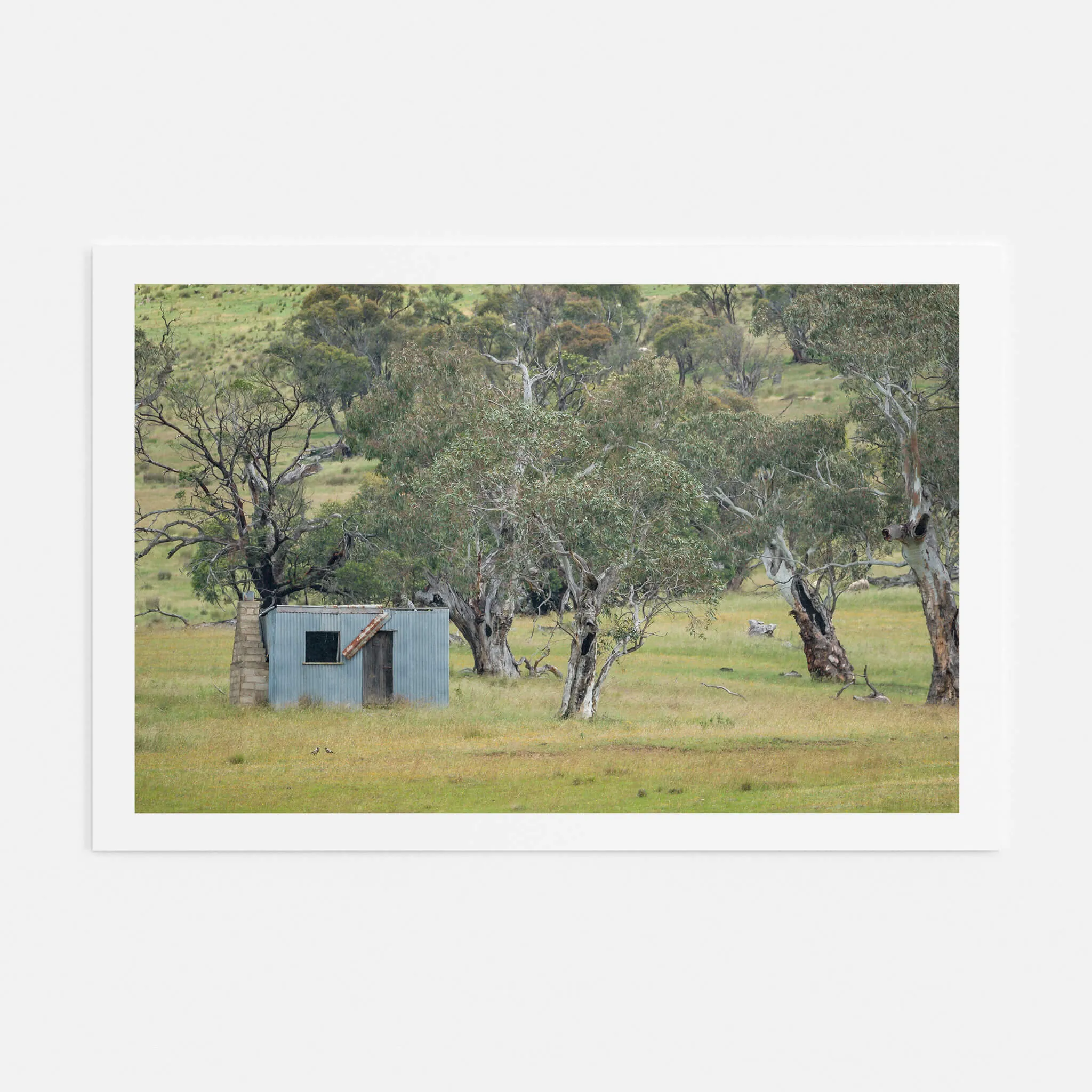 Home Amongst The Gums | A Place to Call Home