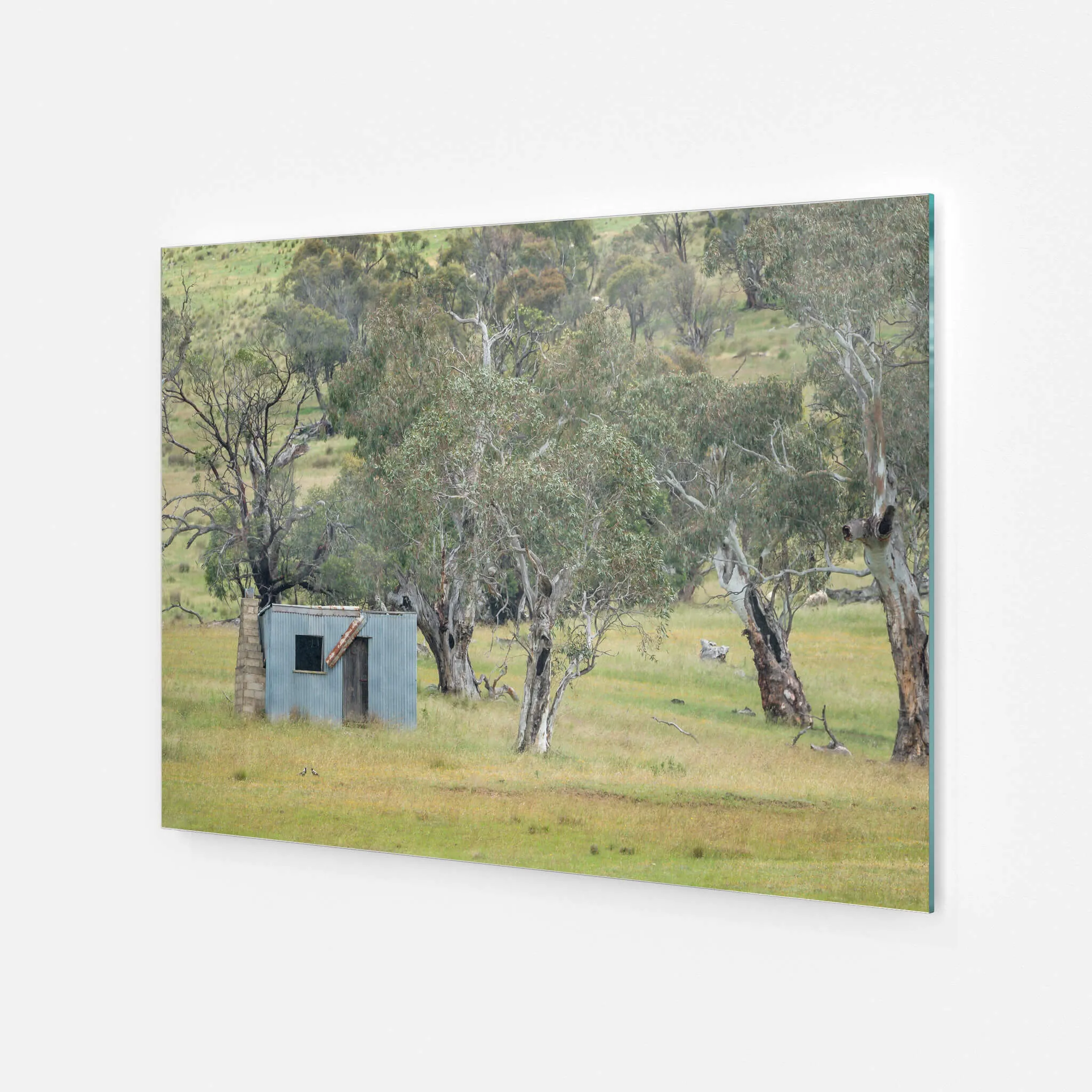 Home Amongst The Gums | A Place to Call Home