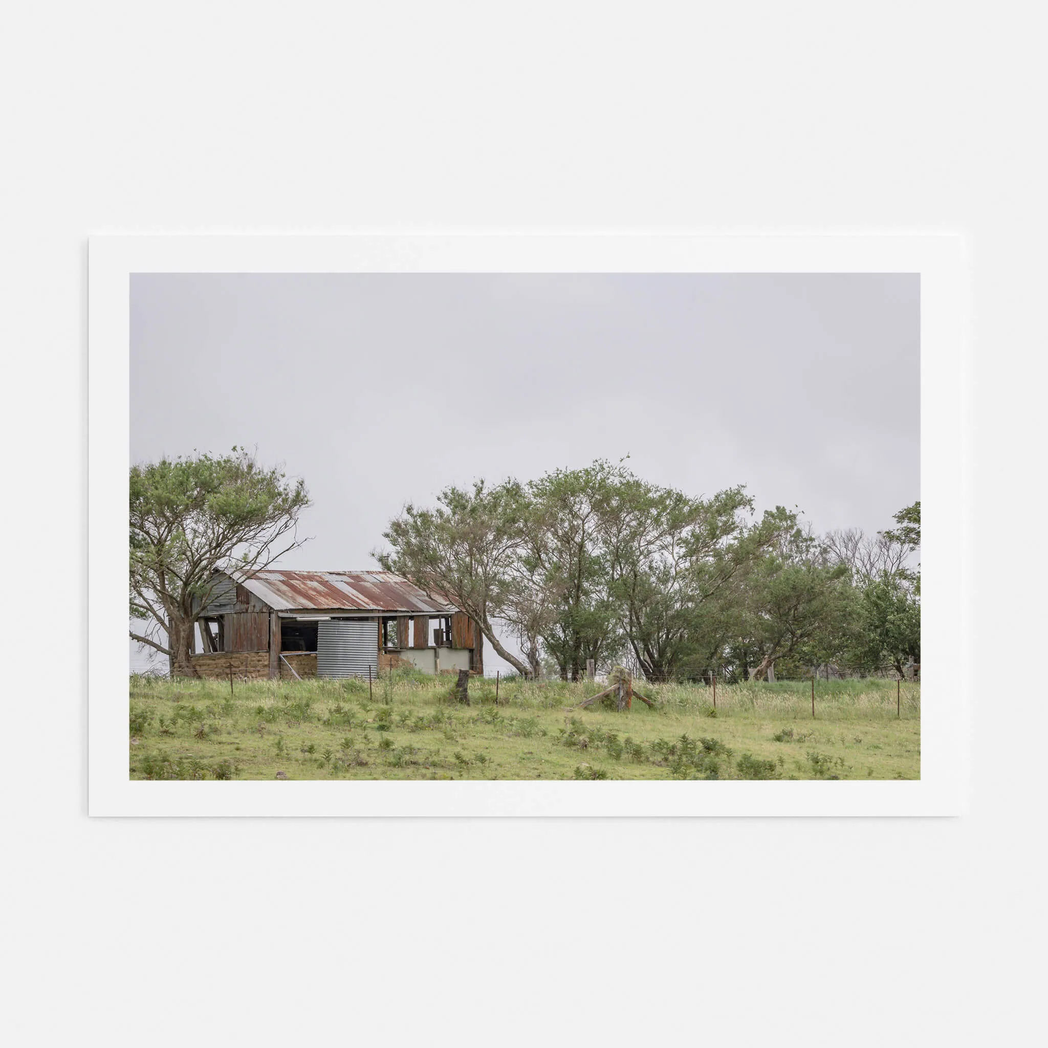 Rocky Hall Hills Hut | A Place to Call Home